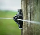 SITECORE-G673 Wood Post Claw Insulator Insitu