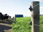 G673 Wood Post Claw Insulator Insitu
