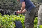 Farmer connecting S200