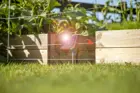 G349 S6 Lithium Garden 2G3A5441