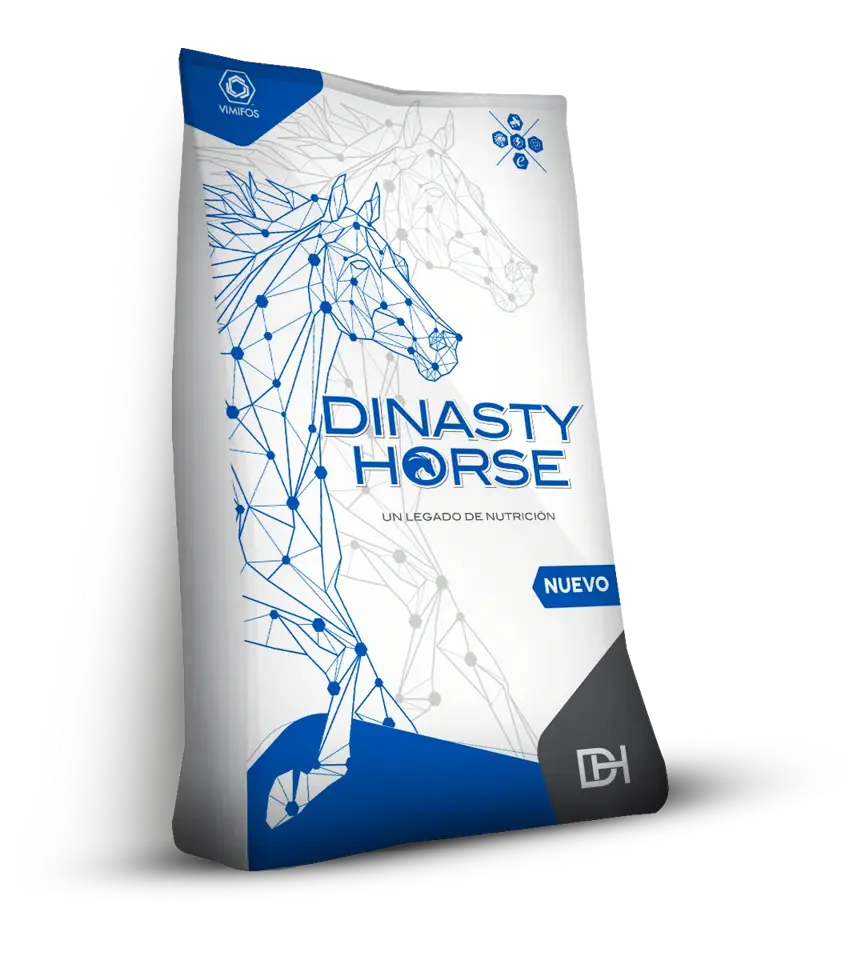 DH Equibalance