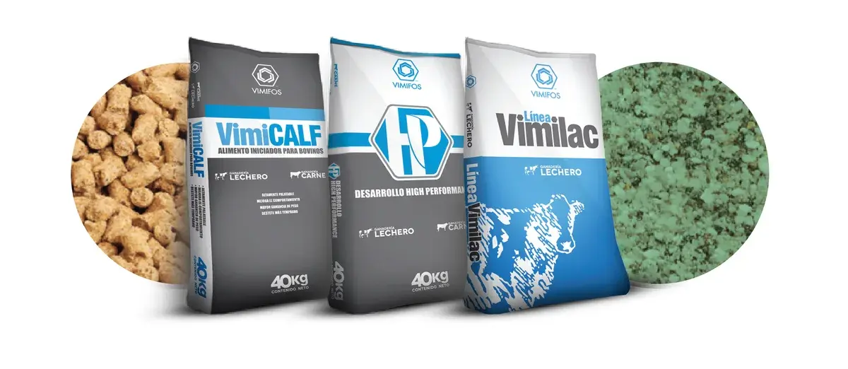 Desarrollo HP