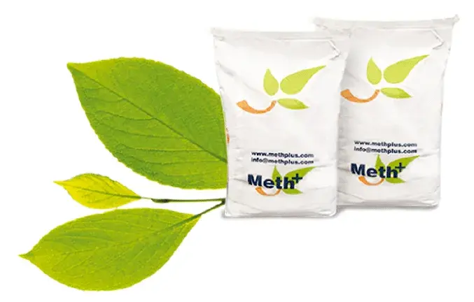 Meth Plus