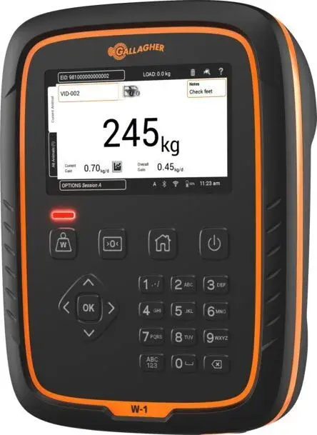 G025 W-1 Weigh Scale 30 DEG