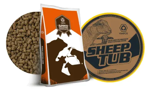 Sheep Range Tub