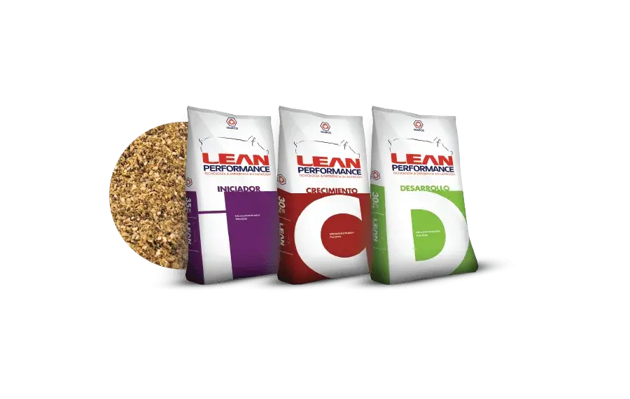Lean Performance