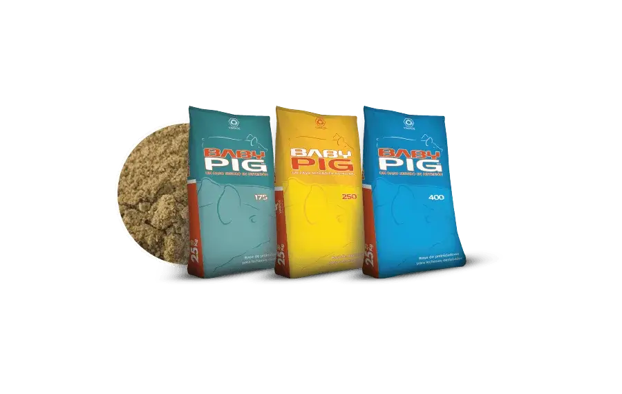 BabyPig