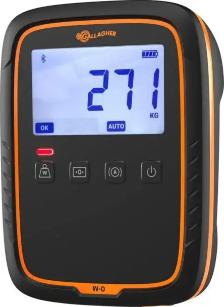 G025 W-0 Weigh Scale 30 Degrees