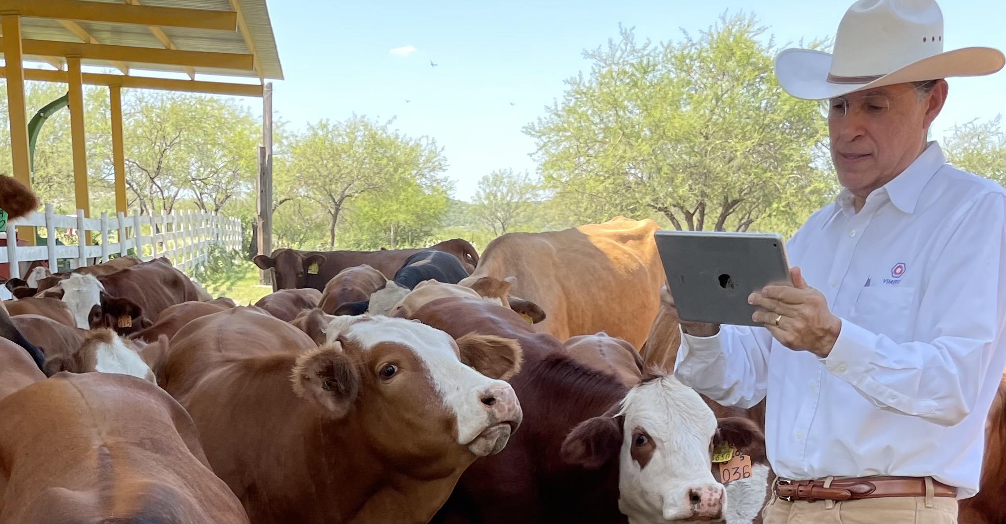 Registro de UMA en campo